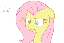 Size: 657x450 | Tagged: safe, artist:speccysy, fluttershy, pegasus, pony, :t, bust, confluttershy, confused, female, floppy ears, fluttershy is not amused, frown, lidded eyes, mare, portrait, reaction image, simple background, solo, text, unamused, wat, white background