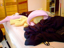 Size: 1024x768 | Tagged: safe, artist:natmaxex, fluttershy, 3d, bed, irl, photo, ponies in real life, sleeping, solo