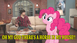 Size: 1280x720 | Tagged: safe, edit, pinkie pie, earth pony, human, pony, female, food games, irl, irl human, jontron, photo, ponies in real life