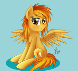 Size: 3079x2808 | Tagged: safe, artist:raindashdragon, derpibooru import, spitfire, pegasus, pony, female, mare, solo, two toned mane, wings, yellow coat