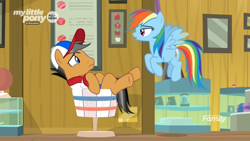 Size: 1366x768 | Tagged: safe, derpibooru import, screencap, quibble pants, rainbow dash, earth pony, pegasus, pony, common ground, baseball cap, basket, cap, discovery family logo, duo, female, flying, glass case, hat, male, mare, museum, my little pony logo, stallion, stuck