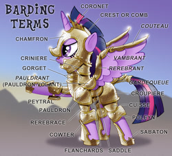 Size: 790x716 | Tagged: safe, artist:iisaw, derpibooru import, twilight sparkle, twilight sparkle (alicorn), alicorn, pony, armor, barding, chamfron, chanfron, criniere, croupiere, female, glossary, gorget, helmet, mare, pauldron, peytral, raised hoof, sabaton (armor), saddle, solo, tack, text