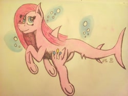 Size: 1024x768 | Tagged: safe, artist:mane-shaker, pinkie pie, original species, shark pony, bubble, colored, pinkamena diane pie, sharkified, solo, species swap, traditional art, underhoof, underwater, watercolor painting