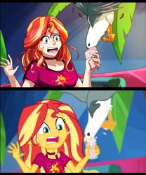 Size: 2051x2469 | Tagged: safe, artist:traupa, sunset shimmer, bird, human, seagull, better together, equestria girls, i'm on a yacht, clothes, comparison, drink, glass, high res, human coloration, open mouth, scene interpretation, screencap reference