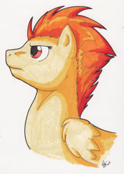 Size: 1464x2042 | Tagged: safe, artist:stormblaze-pegasus, derpibooru import, spitfire, bust, profile, solo, traditional art