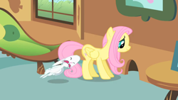 Size: 852x480 | Tagged: safe, screencap, angel bunny, fluttershy, pegasus, pony, a bird in the hoof, great moments in animation