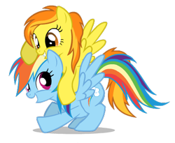 Size: 435x356 | Tagged: safe, artist:mixermike622, derpibooru import, rainbow dash, spitfire, pegasus, pony, female, lesbian, mare, shipping, simple background, spitdash, transparent background