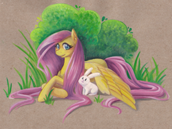 Size: 1024x770 | Tagged: safe, artist:zaphy1415926, fluttershy, pegasus, pony, rabbit, female, mare, traditional art