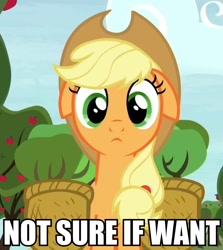 Size: 858x960 | Tagged: safe, screencap, applejack, earth pony, pony, castle sweet castle, image macro, meme, not sure if want