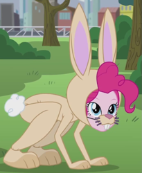 Size: 693x845 | Tagged: safe, screencap, pinkie pie, rabbit, equestria girls, friendship games, pinkie spy (short), bunny costume, clothes, costume, outfit catalog, solo