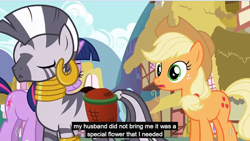 Size: 848x478 | Tagged: safe, screencap, applejack, twilight sparkle, zecora, earth pony, pony, zebra, meme, youtube caption