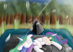 Size: 3507x2480 | Tagged: safe, artist:frozentear7, princess celestia, alicorn, pony, crepuscular rays, eyes closed, feather, female, floppy ears, mare, prone, reference, scene interpretation, sleeping, solo