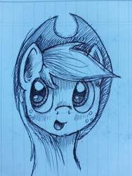 Size: 2448x3264 | Tagged: safe, artist:mindofnoodles, applejack, earth pony, pony, lined paper, monochrome, solo, traditional art