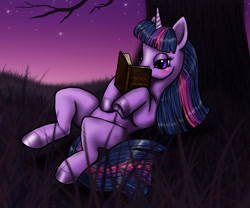 Size: 1200x1000 | Tagged: safe, artist:candycornsnake, derpibooru import, twilight sparkle, book, solo