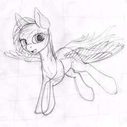 Size: 2298x2298 | Tagged: safe, artist:styroponyworks, derpibooru import, rainbow dash, pegasus, pony, sketch, solo, traditional art