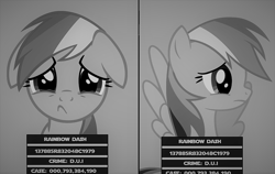 Size: 1968x1240 | Tagged: safe, artist:stephen-fisher, derpibooru import, rainbow dash, pegasus, pony, arrested, crying, floppy ears, grayscale, jail, monochrome, mugshot, prisoner rd, sad, solo