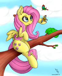 Size: 807x1000 | Tagged: safe, artist:bleff172, artist:dfectivedvice, fluttershy, butterfly, pegasus, pony, female, mare, sitting, sitting in a tree, solo, tree