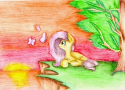 Size: 1280x916 | Tagged: safe, artist:nightstar985, fluttershy, butterfly, pegasus, pony, folded wings, lying, lying down, pencil drawing, solo, sunset, traditional art, tree