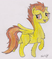 Size: 3006x3448 | Tagged: safe, artist:fly1ngsquid, derpibooru import, spitfire, pegasus, pony, chest fluff, drawing, fluffy, messy mane, solo, traditional art