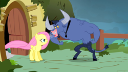 Size: 1920x1080 | Tagged: safe, screencap, fluttershy, iron will, minotaur, pegasus, pony, putting your hoof down, angry, windswept mane, yelling