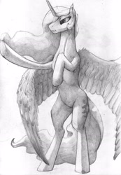 Size: 2434x3509 | Tagged: safe, artist:xxkrutoy, princess celestia, alicorn, pony, bipedal, grayscale, monochrome, rearing, simple background, solo, spread wings, traditional art, underhoof