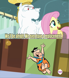 Size: 536x600 | Tagged: safe, fluttershy, pegasus, pony, blonde, blonde mane, blonde tail, blue eyes, curtain, ear piercing, exploitable meme, female, fred flintstone, looking to side, looking to the right, male, mare, meme, open mouth, piercing, pink mane, pink tail, red eyes, replacement meme, smiling, spread wings, stallion, text, the flintstones, this will end in yabba dabba doo, white coat, wings, yellow coat