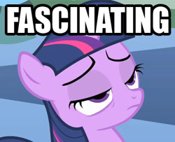 Size: 400x324 | Tagged: safe, derpibooru import, twilight sparkle, bored, fascinating, filly, filly twilight sparkle, meme, reaction image, sarcasm, solo, text