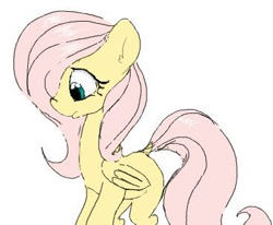 Size: 368x303 | Tagged: safe, artist:yoditax, fluttershy, pegasus, pony, female, mare, sketch, solo