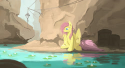 Size: 2500x1369 | Tagged: safe, artist:fuzzyfox11, fluttershy, pegasus, pony, canyon, lilypad, nature, river, solo