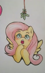 Size: 1880x3005 | Tagged: safe, artist:askbubblelee, fluttershy, pegasus, pony, cute, holly, holly mistaken for mistletoe, looking up, mistleholly, shyabetes, solo, traditional art