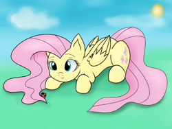 Size: 1024x768 | Tagged: safe, artist:mlp-firefox5013, fluttershy, insect, ladybug, pegasus, pony, solo, sun