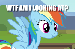 Size: 1021x677 | Tagged: safe, derpibooru import, edit, edited screencap, screencap, rainbow dash, pegasus, pony, testing testing 1-2-3, caption, cropped, image macro, scrunchy face, solo, text