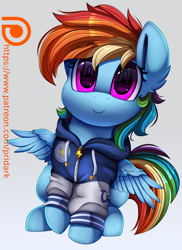 Size: 2550x3509 | Tagged: safe, artist:pridark, derpibooru import, rainbow dash, pegasus, pony, clothes, cute, dashabetes, ear fluff, eye reflection, female, hoodie, looking at you, mare, patreon, patreon logo, pridark is trying to murder us, reflection, sitting, smiling, solo, weapons-grade cute, wing fluff, wonderbolts hoodie