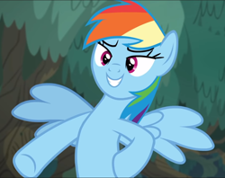 Size: 970x770 | Tagged: safe, derpibooru import, screencap, rainbow dash, pegasus, pony, better together, equestria girls, spring breakdown, bipedal, cropped, equestria girls ponified, female, mare, ponified, smiling, solo, spread wings, underhoof, wings