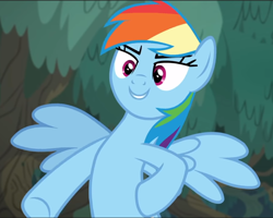 Size: 962x771 | Tagged: safe, derpibooru import, screencap, rainbow dash, pegasus, pony, better together, equestria girls, spring breakdown, bipedal, cropped, equestria girls ponified, female, hooves on hips, mare, ponified, smiling, solo, spread wings, underhoof, wings