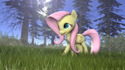 Size: 1920x1080 | Tagged: safe, artist:enderdiamondd, fluttershy, pegasus, pony, 3d, field, solo, source filmmaker, tree