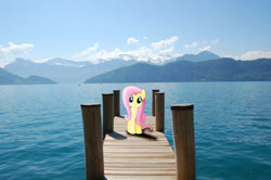 Size: 3008x2000 | Tagged: safe, artist:baumkuchenpony, artist:uponia, fluttershy, irl, lake, lake lucerne, photo, pier, ponies in real life, solo, switzerland, vector