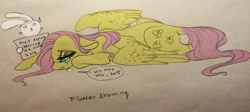 Size: 3174x1421 | Tagged: safe, artist:opalacorn, angel bunny, fluttershy, pegasus, pony, crying, farewell, lidded eyes, lying, new year, pony shaming, sign, spread wings, text, traditional art