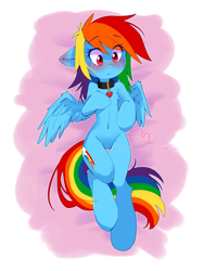 Size: 2448x3264 | Tagged: safe, artist:cynicalsonata, derpibooru import, rainbow dash, pegasus, pony, semi-anthro, belly button, blushing, chest fluff, collar, cute, dashabetes, ear blush, female, floppy ears, heart, high res, leg fluff, mare, on back, partial background, pet tag, pet-dash, pony pet, solo