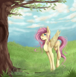 Size: 1024x1036 | Tagged: safe, artist:egowux, fluttershy, pegasus, pony, :o, fluttertree, solo, tree