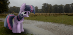 Size: 1141x558 | Tagged: safe, artist:kanadrawsarts, artist:thatguy1945, derpibooru import, twilight sparkle, pony, unicorn, irl, overcast, pathway, photo, ponies in real life, shadow, solo