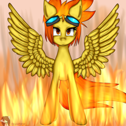 Size: 5466x5474 | Tagged: safe, artist:sugaru-u, derpibooru import, spitfire, absurd resolution, goggles, solo