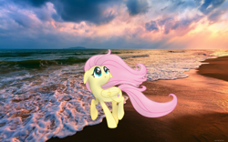 Size: 760x475 | Tagged: safe, artist:hannaspeert123, fluttershy, irl, looking up, ocean, photo, ponies in real life, solo, vector