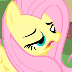 Size: 666x666 | Tagged: safe, screencap, fluttershy, pegasus, pony, party of one, cropped, solo