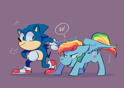 Size: 1280x911 | Tagged: safe, artist:stevetwisp, derpibooru import, rainbow dash, pegasus, pony, crossover, sonic the hedgehog, sonic the hedgehog (series)