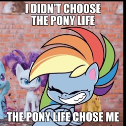 Size: 960x960 | Tagged: safe, derpibooru import, edit, edited screencap, screencap, rainbow dash, pegasus, pony, my little pony: pony life, caption, cropped, eyes closed, image macro, impact font, meme, smiley face, text, thug life