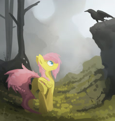 Size: 2200x2317 | Tagged: safe, artist:fuzzyfox11, fluttershy, bird, pegasus, pony, forest, solo