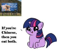 Size: 1121x951 | Tagged: safe, derpibooru import, twilight sparkle, pony, unicorn, dialogue, exploitable meme, female, filly, filly twilight sparkle, filly twilight telling an offensive joke, horn, looking at you, meme, multicolored mane, multicolored tail, obligatory pony, peta, purple coat, simple background, sitting, smiling, solo, talking to viewer, underhoof, vulgar, white background