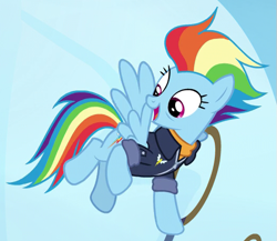 Size: 525x455 | Tagged: safe, derpibooru import, screencap, rainbow dash, pegasus, pony, the last problem, cropped, older, older rainbow dash, solo