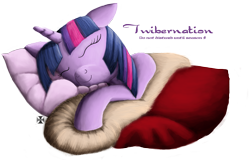 Size: 2045x1312 | Tagged: safe, artist:bhiggo, derpibooru import, twilight sparkle, twilight sparkle (alicorn), alicorn, pony, bed, blanket, cute, eyes closed, female, floppy ears, hibernation, mare, on side, pillow, pun, sleeping, smiling, solo, twibernation